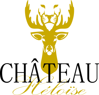 hotel-chateau-heloise